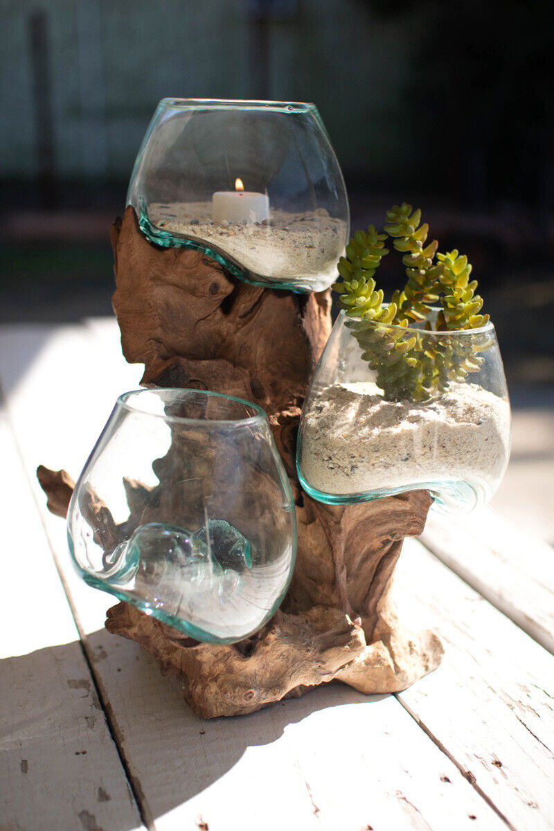 (image for) Triple Terrarium Driftwood Planter Vase Glass