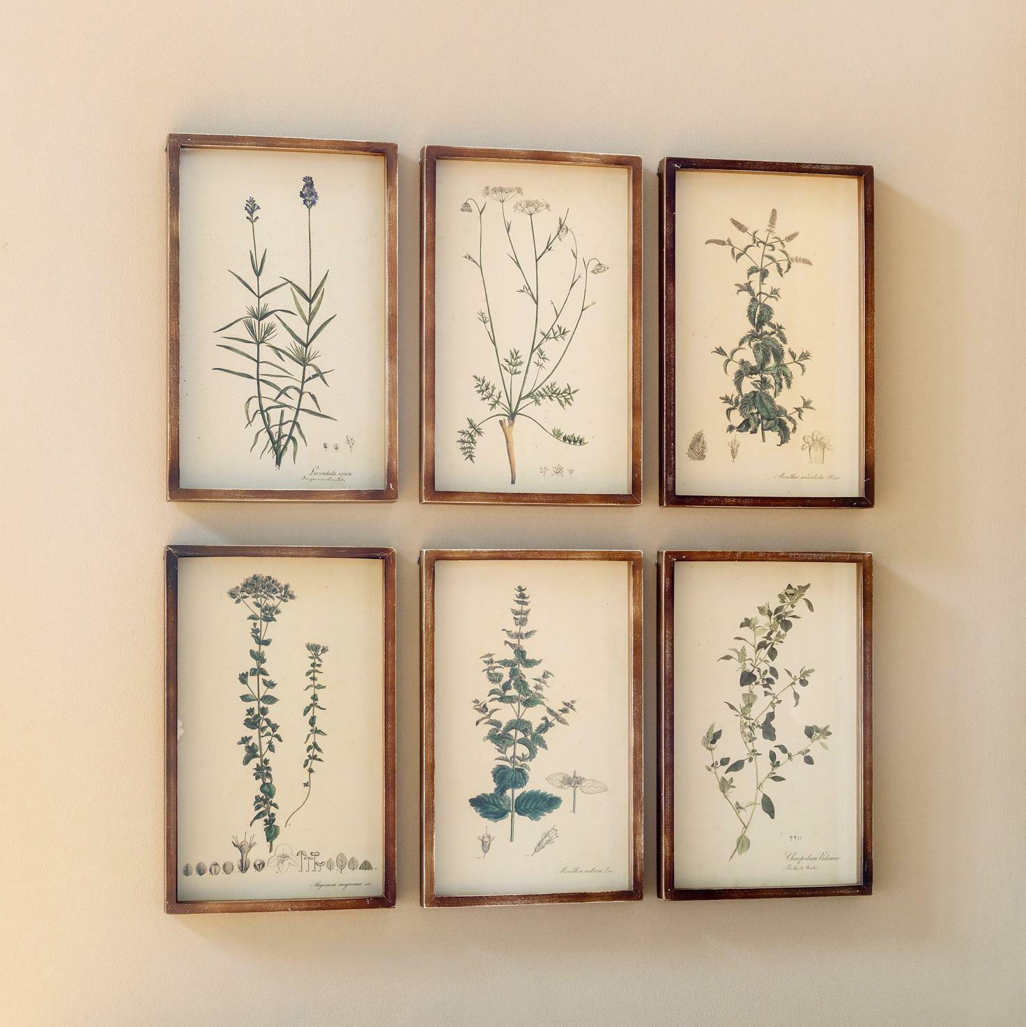 (image for) Botanical Floral Print Set 6 Wall Art Framed Antique Style
