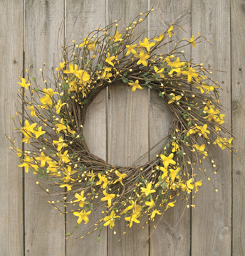 (image for) 20" Star Forsythia Wreath