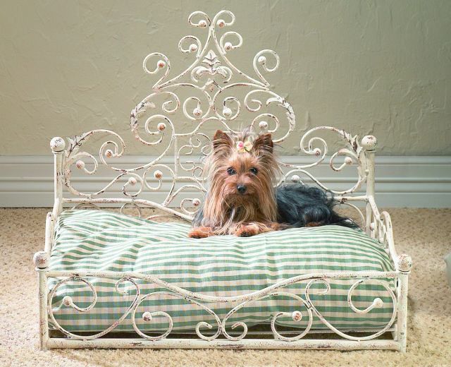 (image for) Pet Bed - Antique Scroll Metal